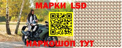 шишки Беслан