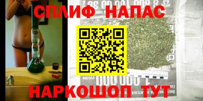 шишки Беслан