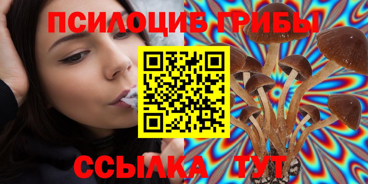Псилоцибиновые грибы прущие грибы  Тобольск 