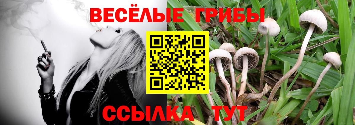 Тобольск  Галлюциногенные грибы мухоморы  Вход с VPN 